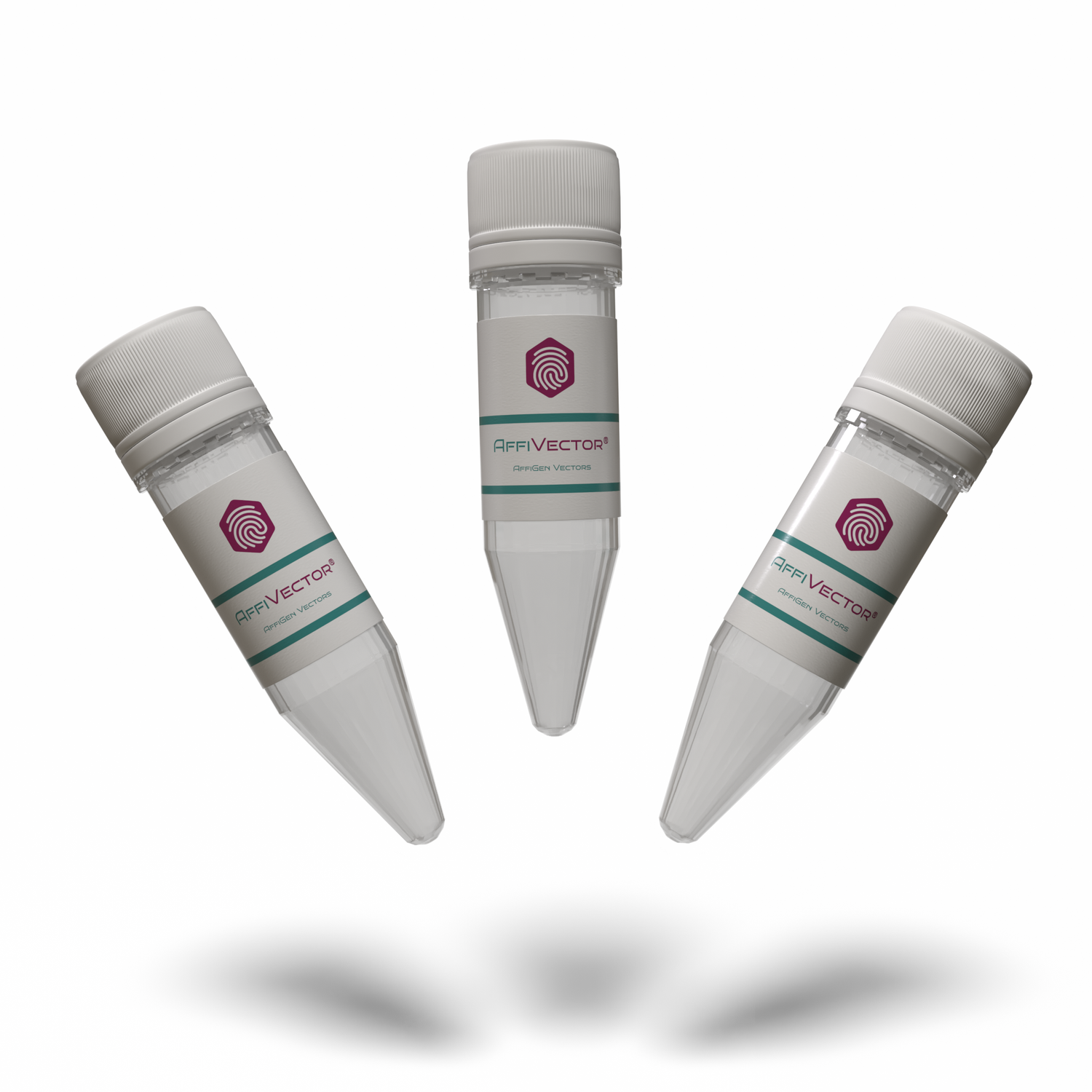 AffiVECTOR pMXs-IRES-Bsd Retroviral Vector product image