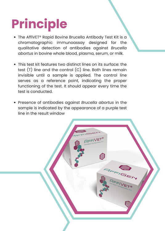 AffiVET® Bovine Brucella Antibody Rapid Test Kit