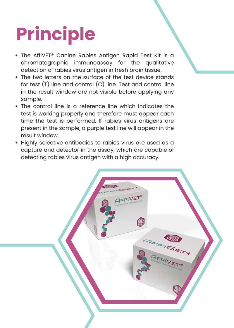 Load image into Gallery viewer, AffiVET® Canine Rabies Antigen Rapid Test Kit
