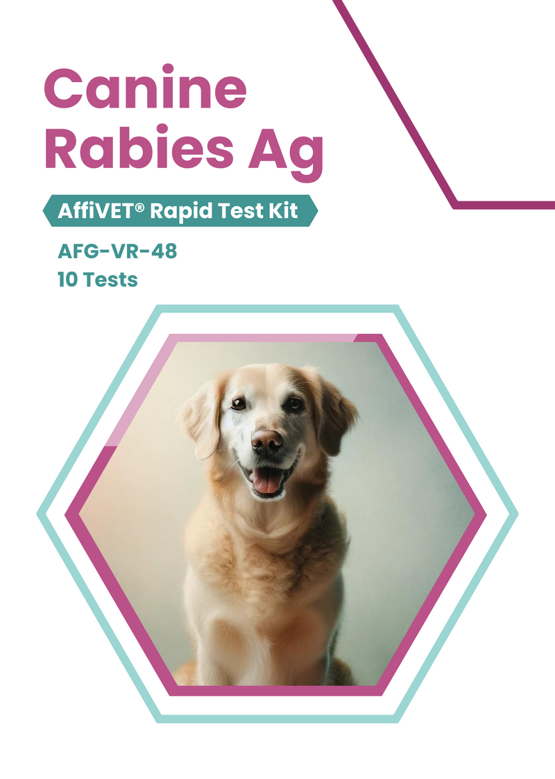 High-Quality AffiVET® Canine Rabies Antigen Rapid Test Kit | AffiGen ...