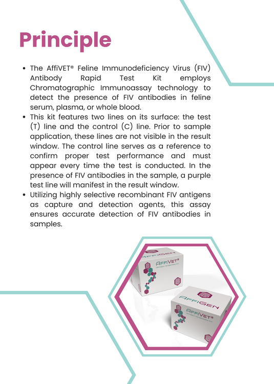 AffiVET® Feline Immunodeficiency Virus FIV Antibody Rapid Test Kit