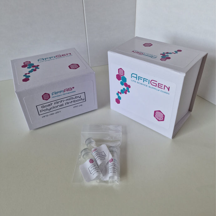 AffiAB® Goat Anti-mRuby Polyclonal Antibody