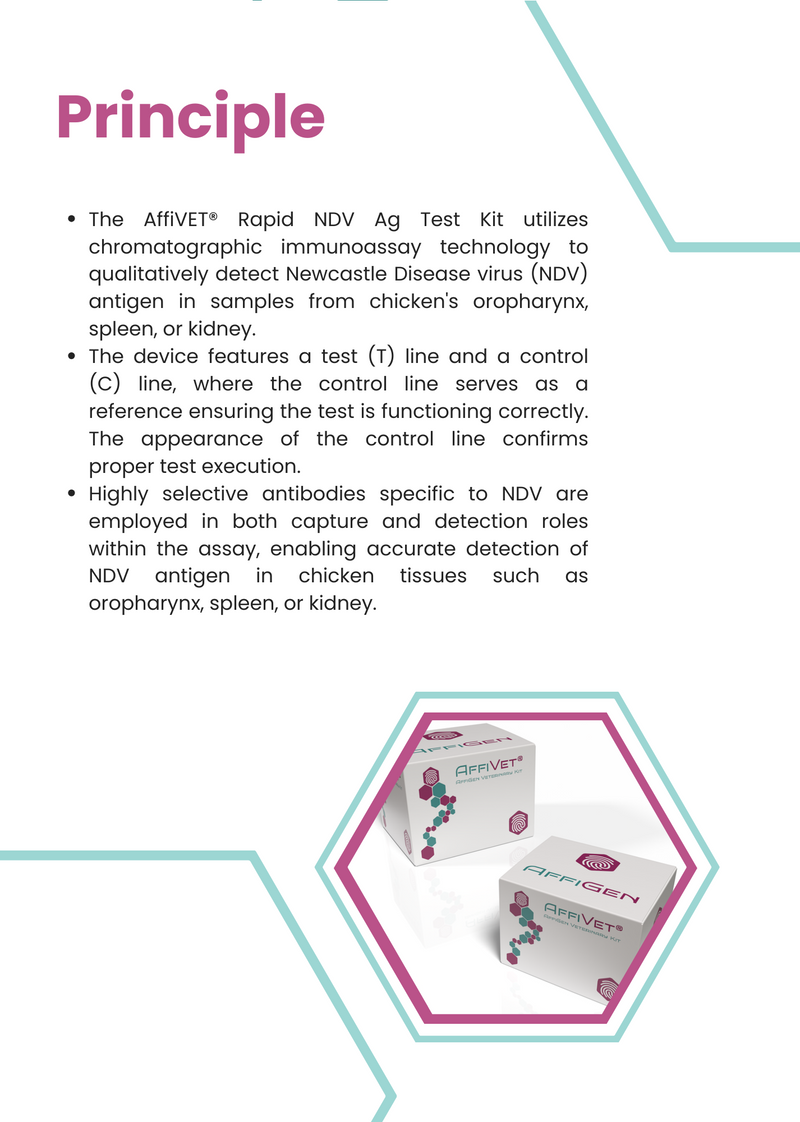 Load image into Gallery viewer, AffiVET® Poultry Newcastle Disease NDV Antigen Rapid Test Kit
