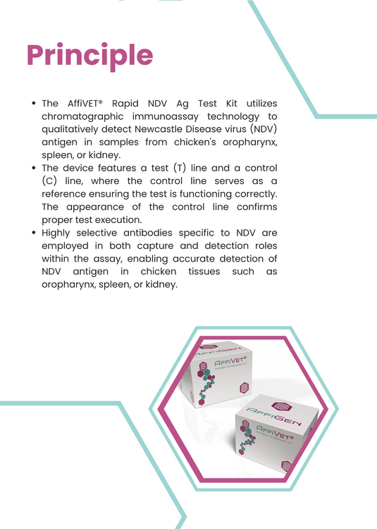 AffiVET® Poultry Newcastle Disease NDV Antigen Rapid Test Kit
