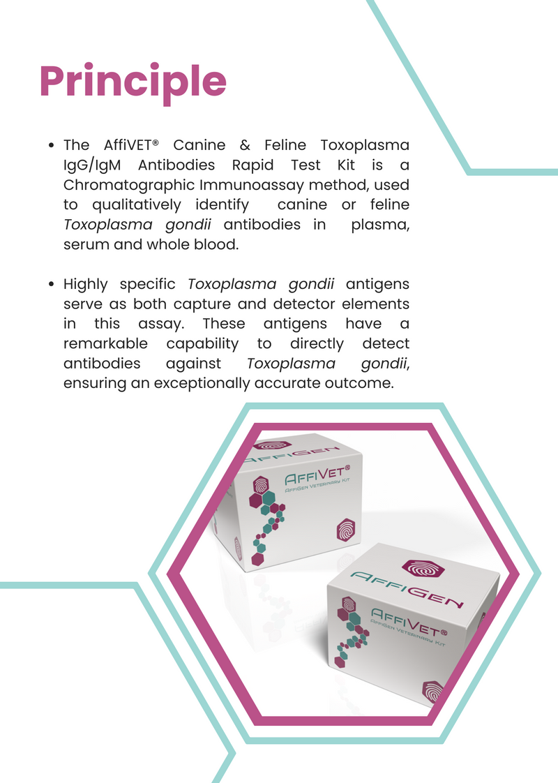 Load image into Gallery viewer, AffiVET® Canine &amp; Feline Toxoplasma Gondii IgG &amp; IgM Antibodies Rapid Test
