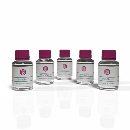 AffiGEN® Transfect(TM) DNA & siRNA In Vitro 4000 Kit