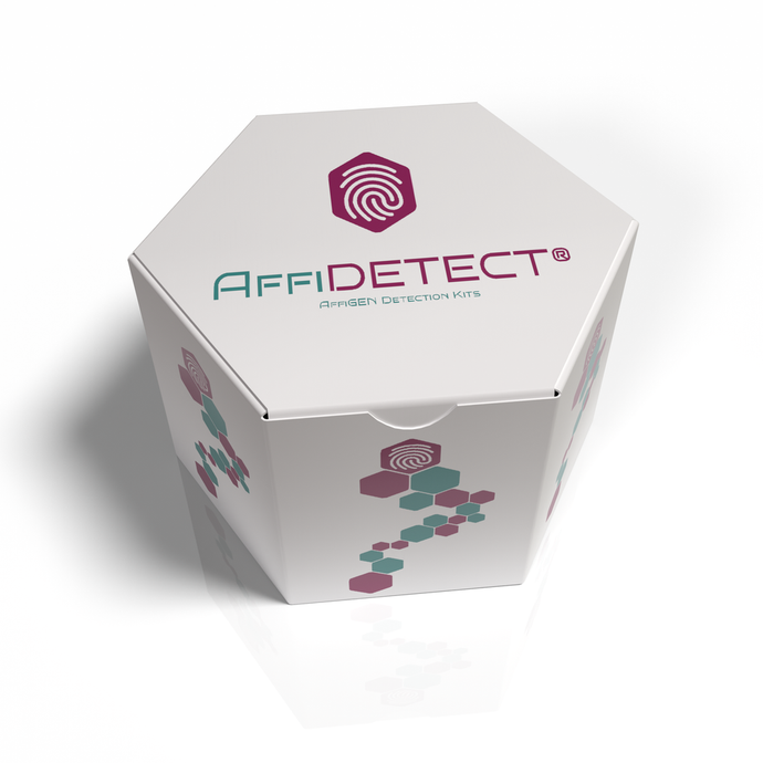 AffiDETECT® Annexin V-EGFP/PI Apoptosis Detection Kit Annexin V-EGFP/PI