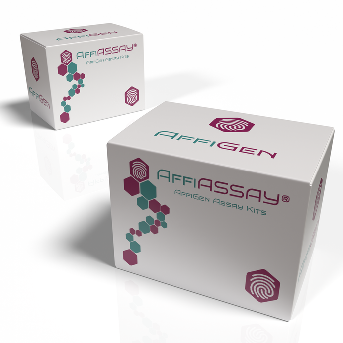 AffiASSAY® RT-LAMP Dye Assay Kit (UDG+)