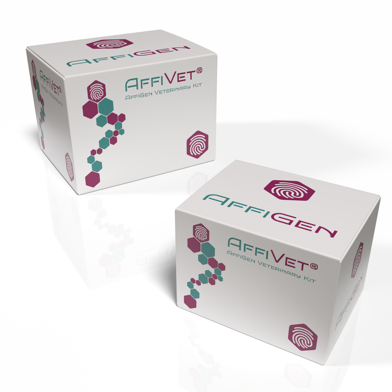 Load image into Gallery viewer, AffiVET® PRRS virus antibody rapid test card
